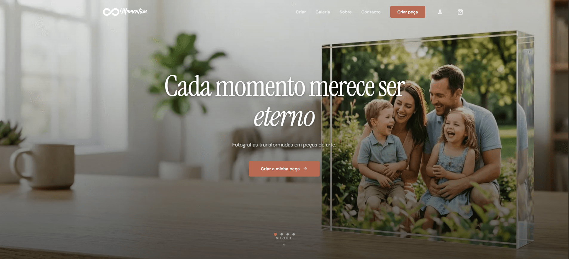 Momentum — E-commerce DTC · Marca própria